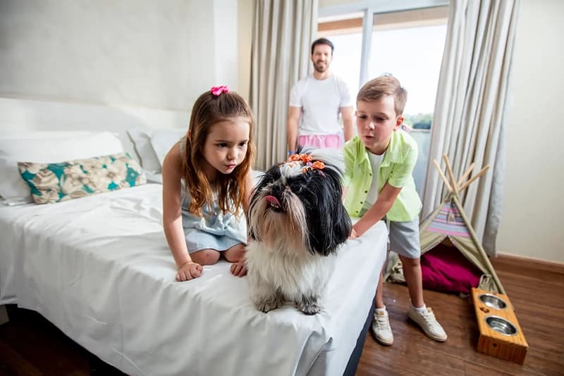 Família com seu cachorro de estimação em um dos quartos pet friendly do resort.