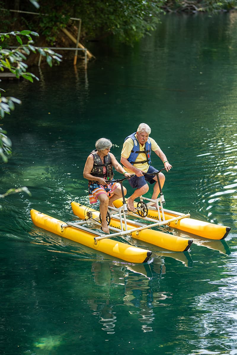 Pessoas praticando tirolesa em uma floresta.
