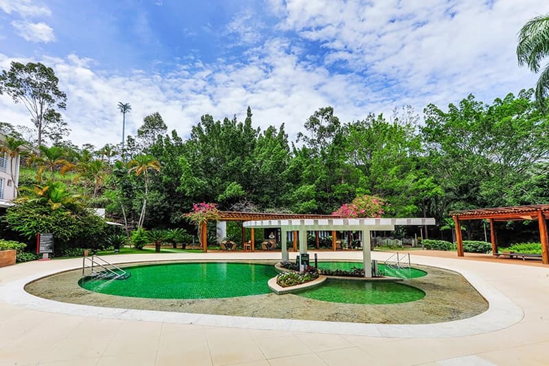 Piscina ornamental com uma passarela branca, cercada por natureza.