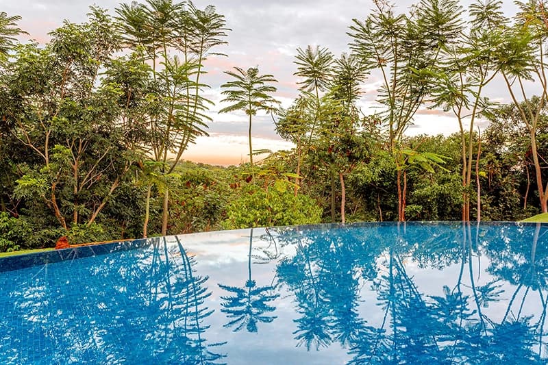 Piscina do resort com formato orgânico e cercada por vegetação.