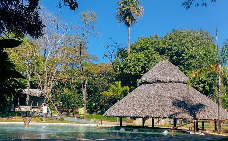 Piscina de estilo natural cercada por árvores e um quiosque de sapé.