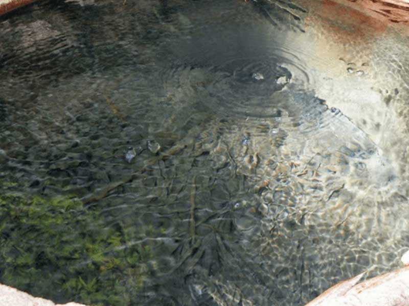 Área de relaxamento com espreguiçadeiras à beira da piscina.