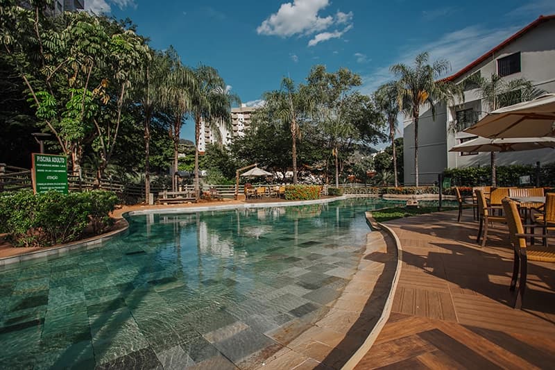 Borda da piscina do hotel com coqueiros e área verde.