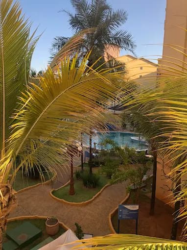 Vista da piscina através das folhas de um coqueiro ao entardecer.