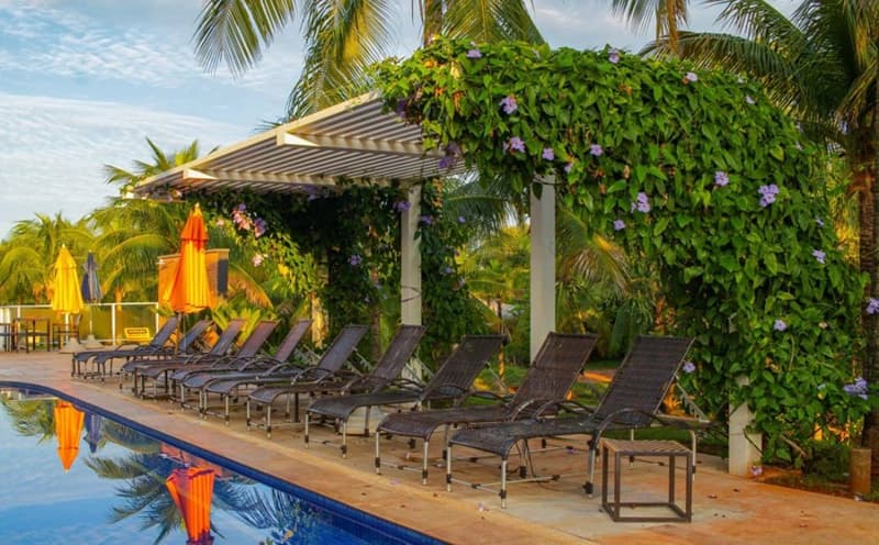 Piscina com uma pérgola de madeira e vegetação ao redor.