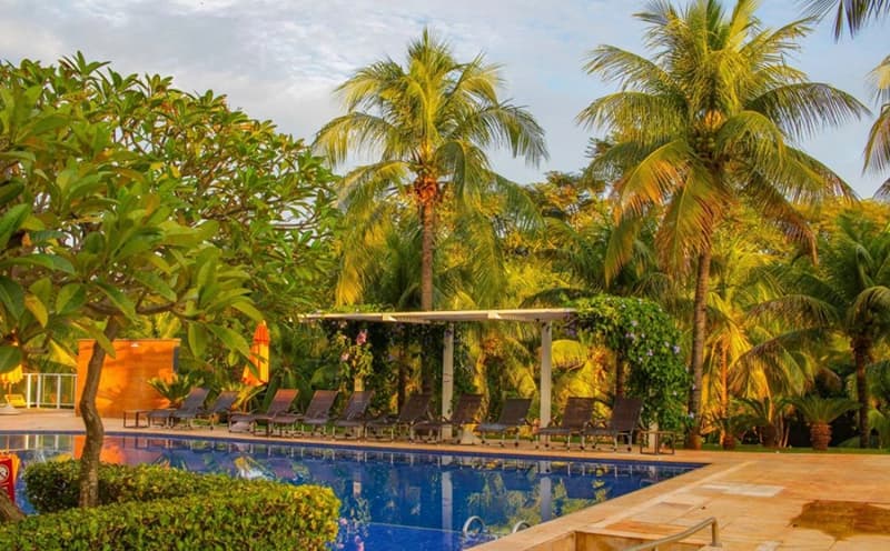 Piscina do resort com coqueiros e vegetação ao redor.