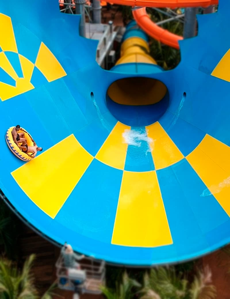 Diversos toboáguas coloridos saindo de uma torre em meio a coqueiros.