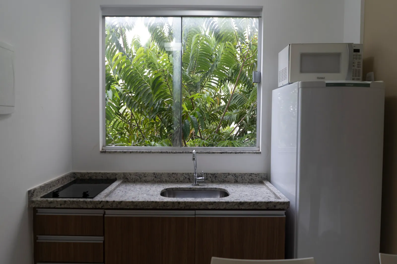 Bancada da cozinha com pia, cooktop e janela para a área verde.