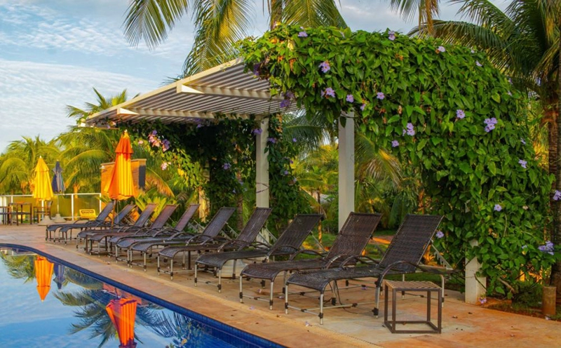 Piscina com uma pérgola de madeira e vegetação ao redor.