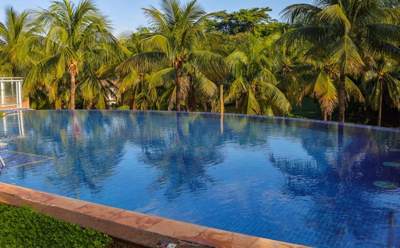 Vista da piscina através dos coqueiros do jardim.